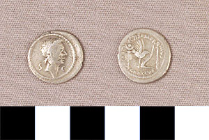 Thumbnail of Coin: Roman Republic, Denarius (1919.63.0423)
