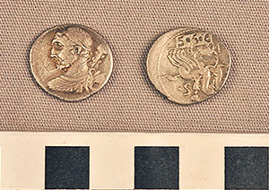 Thumbnail of Coin: Denarius of Rome (1919.63.0866)