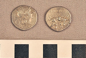 Thumbnail of Coin: Denarius of Rome (1919.63.0869)