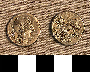 Thumbnail of Coin: Denarius of Rome (1919.63.0928)