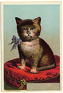 Thumbnail of Greeting Card: Cat (1972.21.0280)