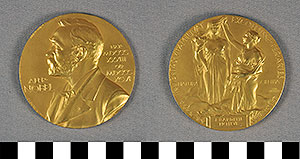 Thumbnail of Nobel Prize Medal for Physics Presented to John Bardeen (1991.04.0051B)