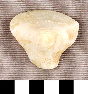 Thumbnail of Figurine Fragment, Head, "Stargazer"  (2000.17.0138)