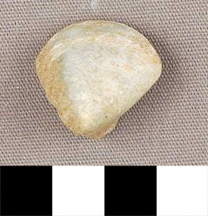 Thumbnail of Figurine Fragment, Head, "Stargazer"  (2000.17.0157)