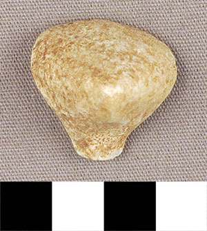 Thumbnail of Figurine Fragment, Head, "Stargazer"  (2000.17.0159)