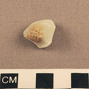 Thumbnail of Figurine Fragment, Head, "Stargazer"  (2000.17.0176)