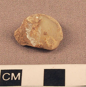 Thumbnail of Figurine Fragment, Head, "Stargazer"  (2000.17.0183)