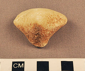 Thumbnail of Figurine Fragment, Head, "Stargazer"  (2000.17.0201)