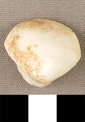 Thumbnail of Figurine Fragment, Head, "Stargazer"  (2000.17.0233)