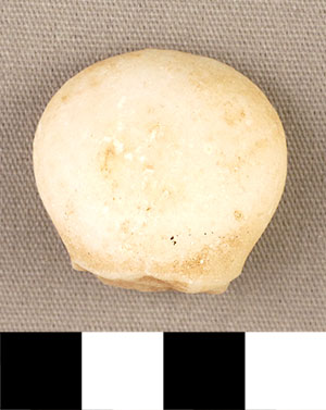 Thumbnail of Figurine Fragment, Head, "Stargazer"  (2000.17.0238)