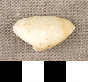 Thumbnail of Figurine Fragment, Head, "Stargazer"  (2000.17.0243)