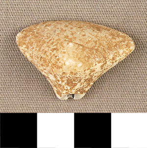 Thumbnail of Figurine Fragment, Head, "Stargazer"  (2000.17.0244)