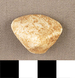 Thumbnail of Figurine Fragment, Head, "Stargazer"  (2000.17.0245)