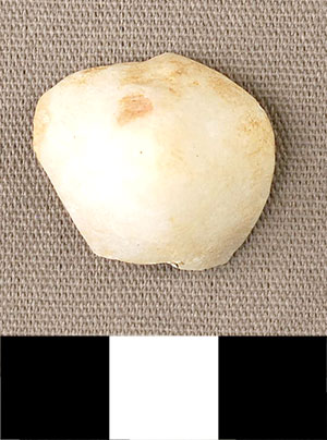 Thumbnail of Figurine Fragment, Head, "Stargazer"  (2000.17.0264)