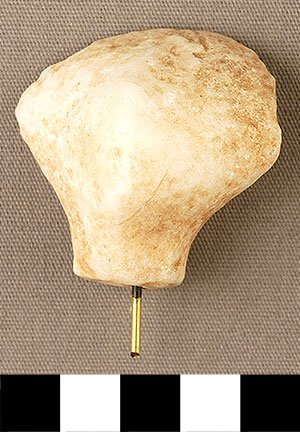 Thumbnail of Figurine Fragment, Head, "Stargazer"  (2000.17.0265)