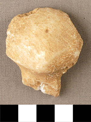 Thumbnail of Figurine Fragment, Head, "Stargazer"  (2000.17.0267)