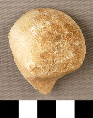 Thumbnail of Figurine Fragment, Head, "Stargazer"  (2000.17.0268)