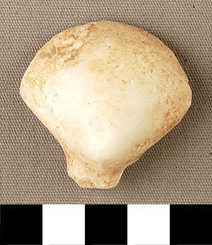 Thumbnail of Figurine Fragment, Head, "Stargazer"  (2000.17.0269)