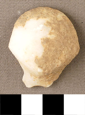 Thumbnail of Figurine Fragment, Head, "Stargazer"  (2000.17.0270)