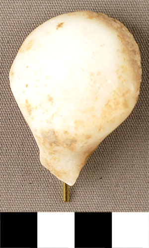 Thumbnail of Figurine Fragment, Head, "Stargazer"  (2000.17.0272)