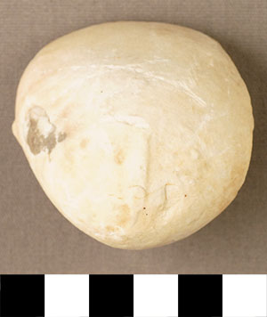 Thumbnail of Figurine Fragment, Head, "Stargazer"  (2000.17.0274)