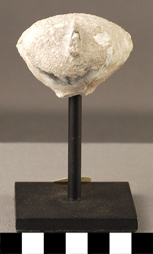 Thumbnail of Figurine Fragment, Head, "Stargazer"  (2000.17.0275)