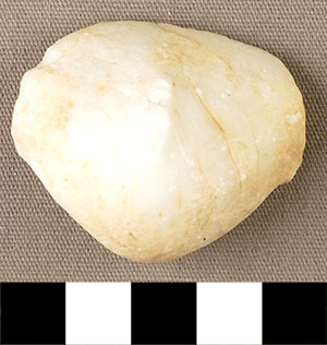 Thumbnail of Figurine Fragment, Head, "Stargazer"  (2000.17.0283)