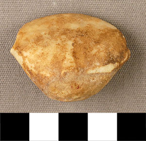 Thumbnail of Figurine Fragment, Head, "Stargazer"  (2000.17.0286)