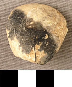 Thumbnail of Figurine Fragment, Head, "Stargazer"  (2000.17.0292)