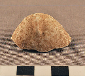 Thumbnail of Figurine Fragment, Head, "Stargazer"  (2000.17.0296)