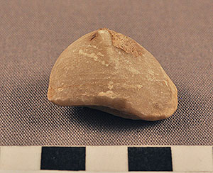 Thumbnail of Figurine Fragment, Head, "Stargazer"  (2000.17.0300)