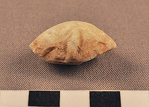 Thumbnail of Figurine Fragment, Head, "Stargazer"  (2000.17.0308)