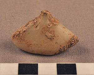 Thumbnail of Figurine Fragment, Head, "Stargazer"  (2000.17.0310)