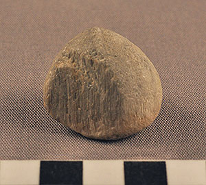 Thumbnail of Figurine Fragment, Head, "Stargazer"  (2000.17.0312)