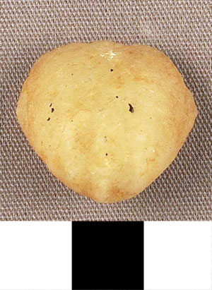 Thumbnail of Figurine Fragment, Head, "Stargazer"  (2000.17.0327)