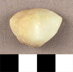 Thumbnail of Figurine Fragment, Head, "Stargazer"  (2000.17.0330)