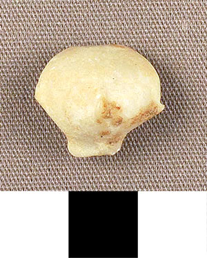 Thumbnail of Figurine Fragment, Head, "Stargazer"  (2000.17.0331)