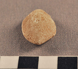 Thumbnail of Figurine Fragment, Head, "Stargazer"  (2000.17.0346)