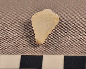 Thumbnail of Figurine Fragment, Head, "Stargazer"  (2000.17.0347)