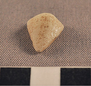 Thumbnail of Figurine Fragment, Head, "Stargazer"  (2000.17.0348)