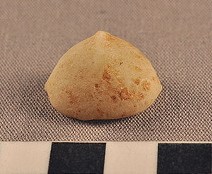 Thumbnail of Figurine Fragment, Head, "Stargazer"  (2000.17.0364)