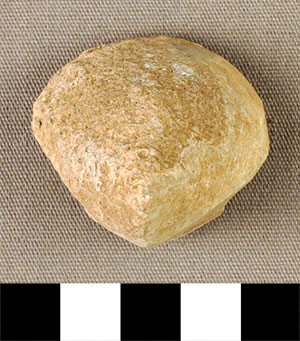 Thumbnail of Figurine Fragment, Head, "Stargazer"  (2002.14.0026)