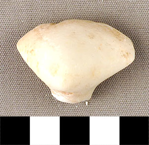 Thumbnail of Figurine Fragment, Head, "Stargazer"  (2002.14.0030)