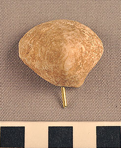 Thumbnail of Figurine Fragment, Head, "Stargazer"  (2002.14.0034)