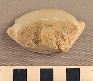 Thumbnail of Figurine Fragment, Head, "Stargazer"  (2002.14.0036)