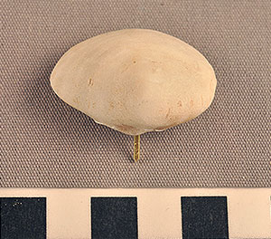 Thumbnail of Figurine Fragment, Head, "Stargazer"  (2002.14.0039)