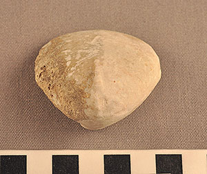 Thumbnail of Figurine Fragment, Head, "Stargazer"  (2002.14.0048)