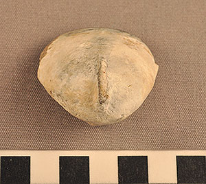 Thumbnail of Figurine Fragment, Head, "Stargazer"  (2002.14.0050)