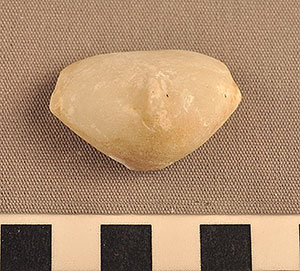 Thumbnail of Figurine Fragment, Head, "Stargazer"  (2002.14.0053)