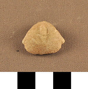 Thumbnail of Figurine Fragment, Head, "Stargazer"  (2002.14.0065)